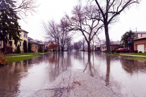 flood insurance calimesa ca