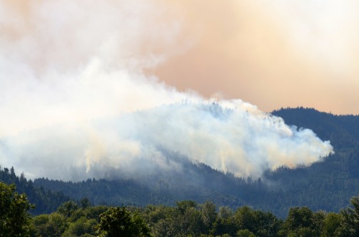 Dangers of Wildfire Season