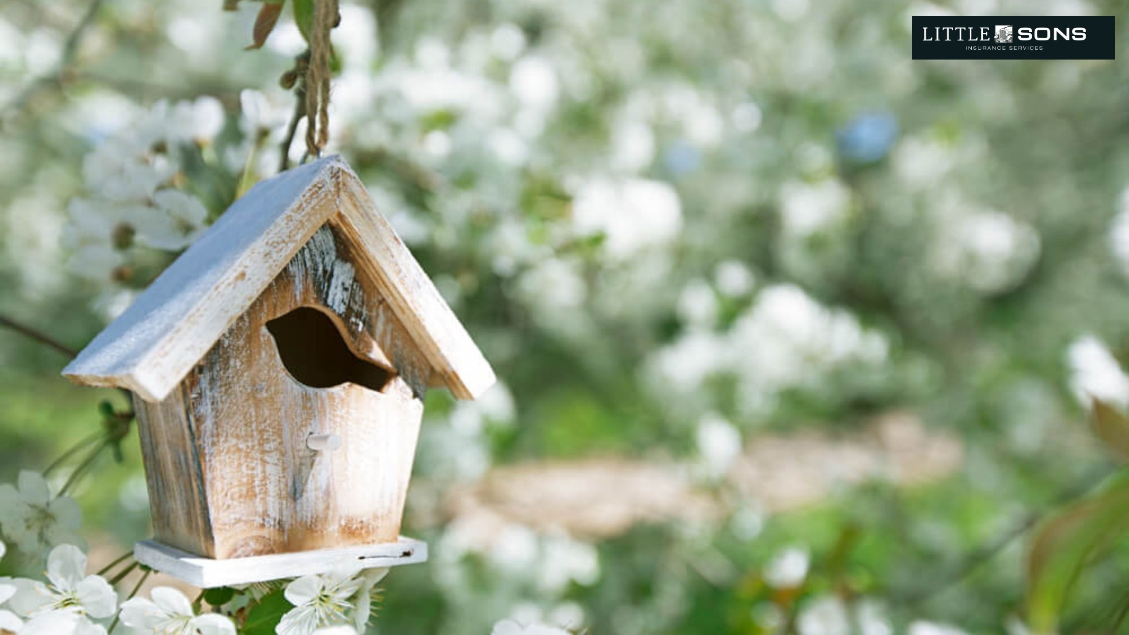 5 Tips to Get Your Home Ready for Spring